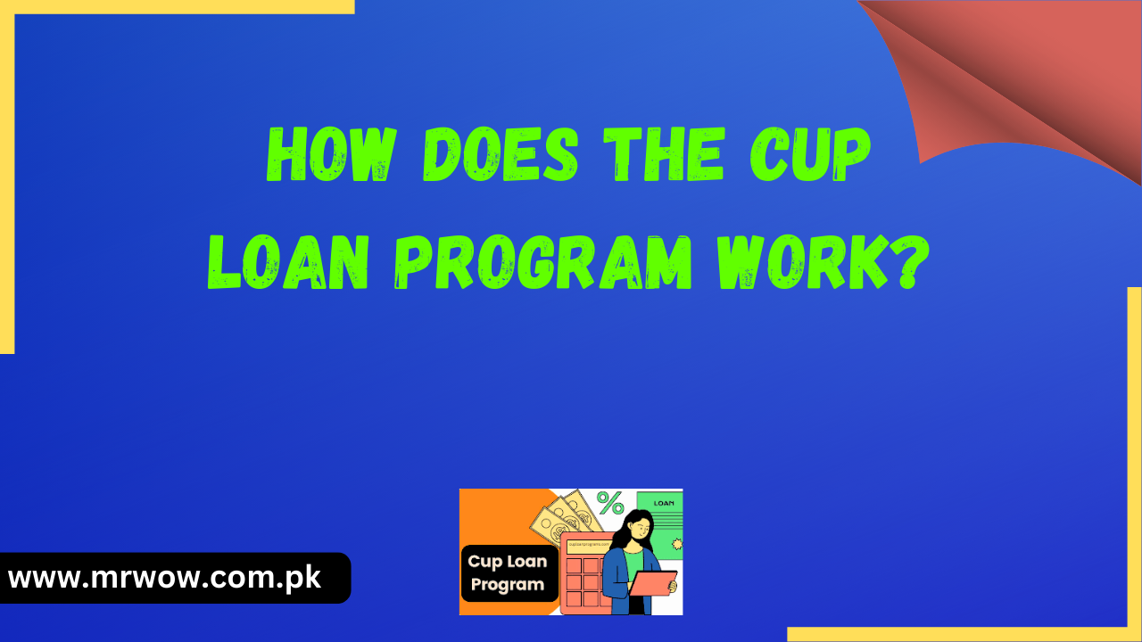 How Does the Cup Loan Program Work?