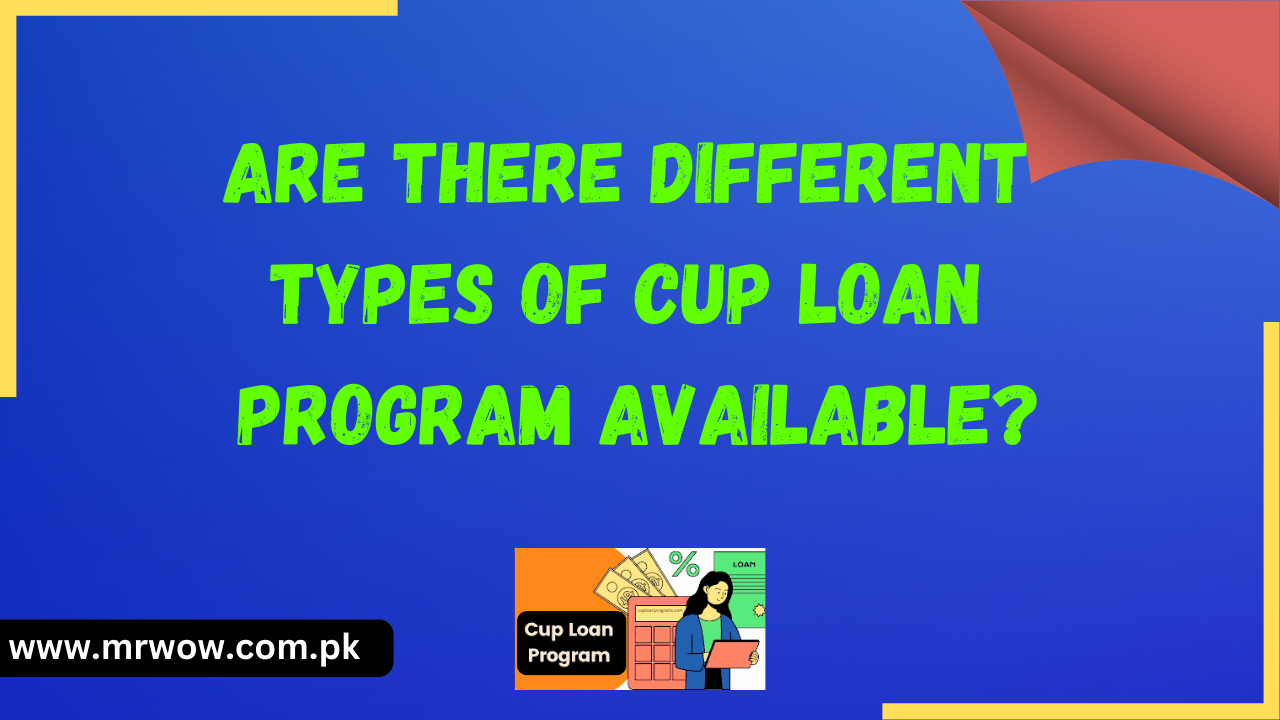 Are There Different Types of Cup Loan Program Available?